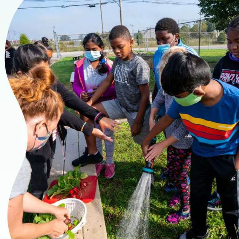 Group of students participating in an outdoor gardening activity.