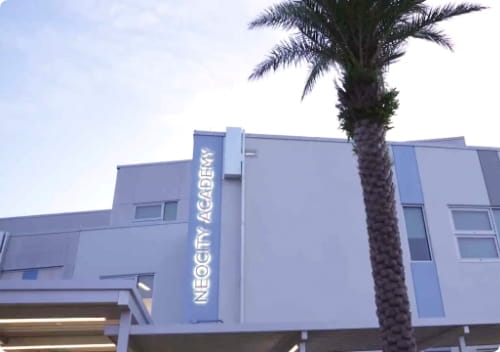 NeoCity Academy's building exterior with a palm tree in front of the entrance.