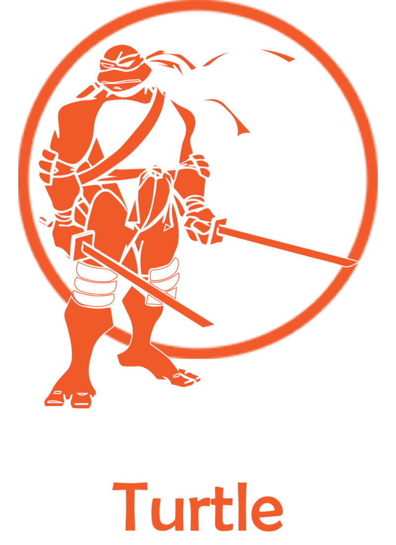 Smart-Pixel-Social-Media-package-Turtle