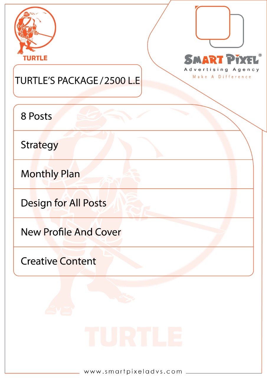 Smart-Pixel-Social-Media-package-Turtle